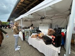 IMG 3143