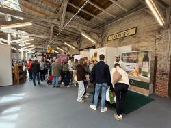 IMG 8542