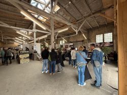 IMG 8693